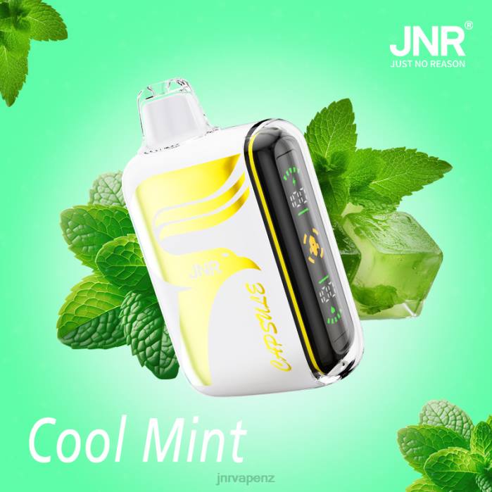 JNR Vape Flavours - JNR CAPSULE Cool Mint PJBL62