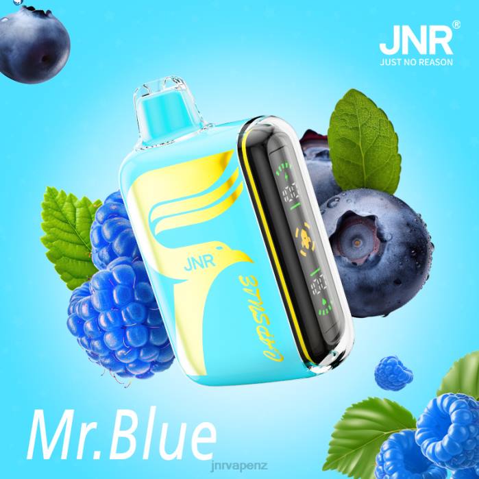 JNR Vape Nicotine - JNR CAPSULE Mr.Blue PJBL64