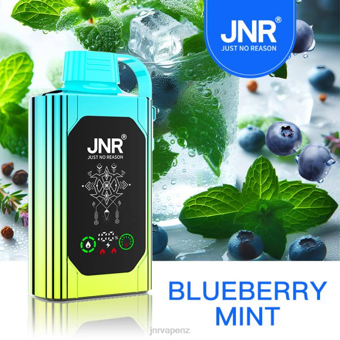 JNR Vape Nicotine - JNR SHISHA BOX Blueberry Mint PJBL88
