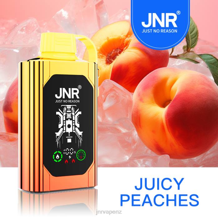 JNR Vape Shop - JNR SHISHA BOX Juicy Peaches PJBL84
