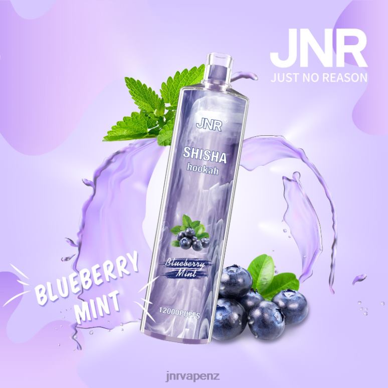 JNR Vape NZ - Blueberry Mint JNR SHISHA BZ6XF172