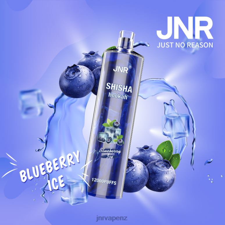 JNR Vape Nicotine - Blueberry Ice JNR SHISHA BZ6XF161