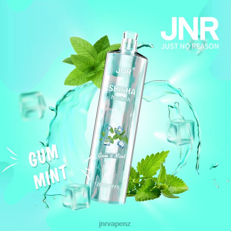 JNR Vape Nicotine Content - Gum & Mint JNR SHISHA BZ6XF164
