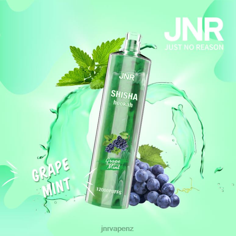 JNR Vape Nicotine - Grape Mint JNR SHISHA BZ6XF171