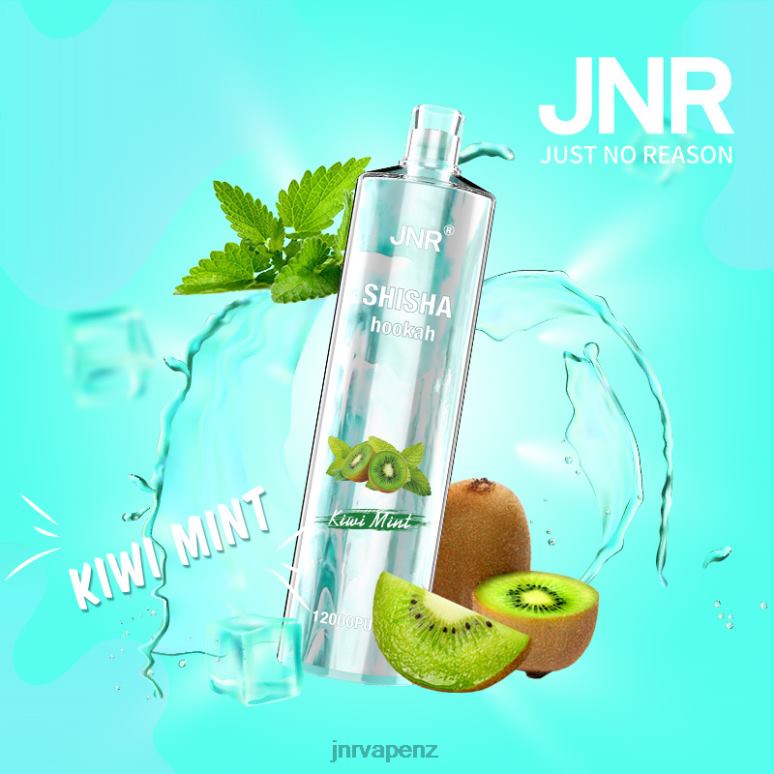 JNR Vape Shop - Kiwi Mint JNR SHISHA BZ6XF169