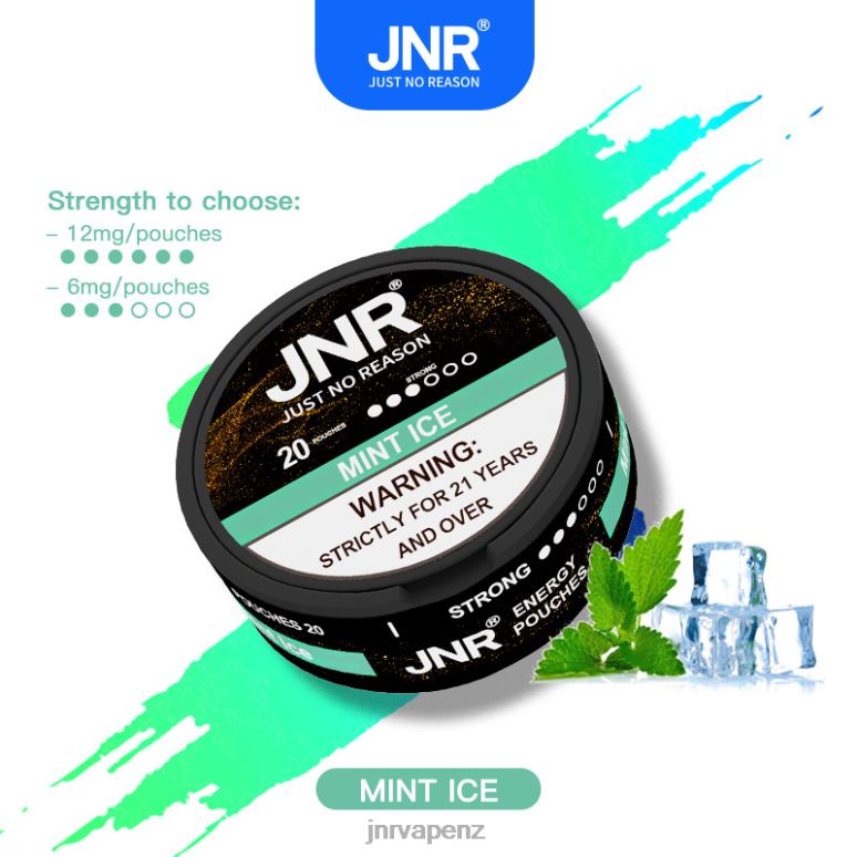 JNR Vape Wellington - Mint Ice JNR ENERGY POUCHES BZ6XF103