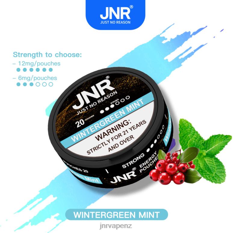 JNR Vape - Wintergreen Mint JNR ENERGY POUCHES BZ6XF106